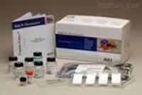 豬乳鐵傳遞蛋白/乳鐵蛋白（LF/LTF）檢測試劑盒